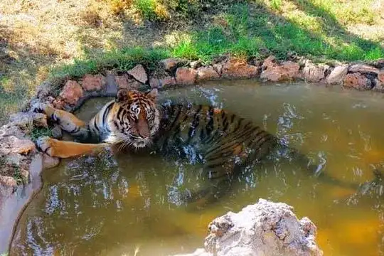 Antalya Zoo: The Best Family Destination for an Unforgettable Day