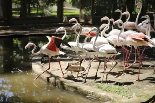 Antalya Zoo: The Best Family Destination for an Unforgettable Day