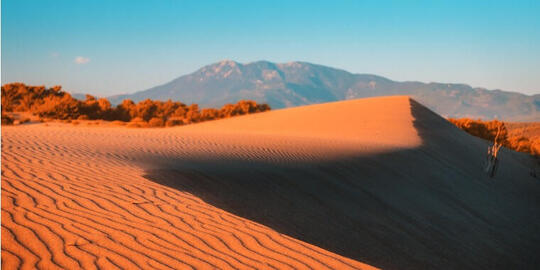Golden Silence of Nature: Discover the Patara Sand Dunes in Comfort